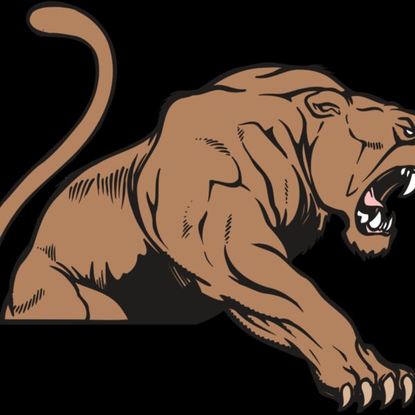 AR COUGAR 55 RC Thumbnail