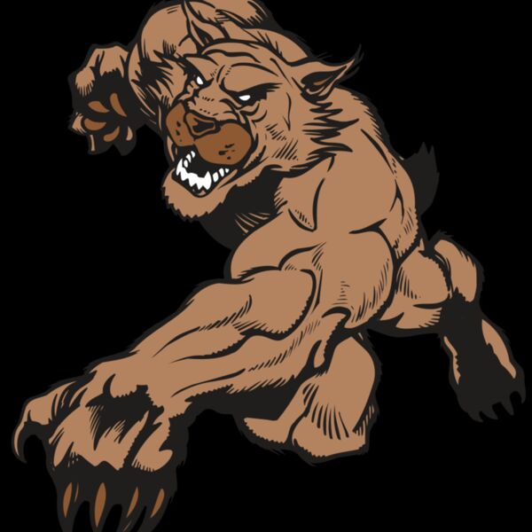 AR WILDCAT 47 RC Thumbnail