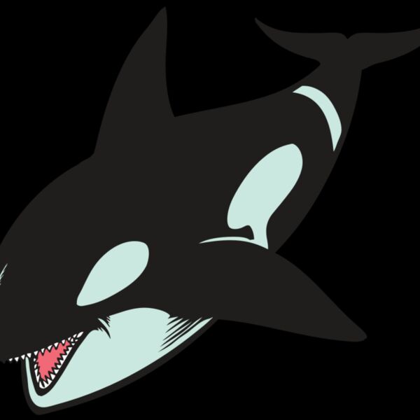 BAW KLRWHALE 02 RC Thumbnail