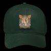 OTTO CAP 6 Panel Low Profile Baseball Cap Thumbnail