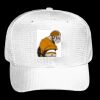 OTTO CAP 6 Panel Mid Profile Baseball Cap Thumbnail