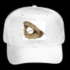 OTTO CAP 6 Panel Mid Profile Baseball Cap Thumbnail