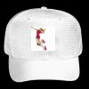 OTTO CAP 6 Panel Mid Profile Baseball Cap Thumbnail