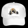 OTTO CAP 6 Panel Mid Profile Baseball Cap Thumbnail