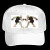 OTTO CAP 6 Panel Mid Profile Baseball Cap Thumbnail