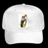 OTTO CAP 6 Panel Mid Profile Baseball Cap Thumbnail