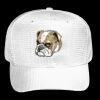 OTTO CAP 6 Panel Mid Profile Baseball Cap Thumbnail