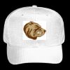 OTTO CAP 6 Panel Mid Profile Baseball Cap Thumbnail