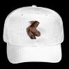 OTTO CAP 6 Panel Mid Profile Baseball Cap Thumbnail