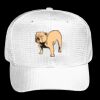 OTTO CAP 6 Panel Mid Profile Baseball Cap Thumbnail