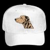 OTTO CAP 6 Panel Mid Profile Baseball Cap Thumbnail