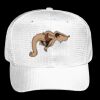 OTTO CAP 6 Panel Mid Profile Baseball Cap Thumbnail