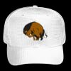 OTTO CAP 6 Panel Mid Profile Baseball Cap Thumbnail