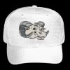 OTTO CAP 6 Panel Mid Profile Baseball Cap Thumbnail