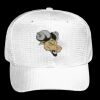 OTTO CAP 6 Panel Mid Profile Baseball Cap Thumbnail