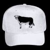 OTTO CAP 6 Panel Mid Profile Baseball Cap Thumbnail