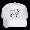 OTTO CAP 6 Panel Mid Profile Baseball Cap Thumbnail