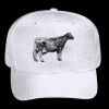 OTTO CAP 6 Panel Mid Profile Baseball Cap Thumbnail