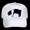 OTTO CAP 6 Panel Mid Profile Baseball Cap Thumbnail