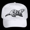 OTTO CAP 6 Panel Mid Profile Baseball Cap Thumbnail