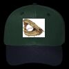 OTTO CAP 6 Panel Mid Profile Baseball Cap Thumbnail