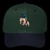 OTTO CAP 6 Panel Mid Profile Baseball Cap Thumbnail