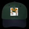 OTTO CAP 6 Panel Mid Profile Baseball Cap Thumbnail