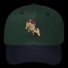 OTTO CAP 6 Panel Mid Profile Baseball Cap Thumbnail