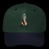 OTTO CAP 6 Panel Mid Profile Baseball Cap Thumbnail