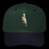 OTTO CAP 6 Panel Mid Profile Baseball Cap Thumbnail