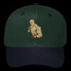 OTTO CAP 6 Panel Mid Profile Baseball Cap Thumbnail