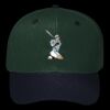 OTTO CAP 6 Panel Mid Profile Baseball Cap Thumbnail