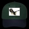 OTTO CAP 6 Panel Mid Profile Baseball Cap Thumbnail