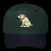 OTTO CAP 6 Panel Mid Profile Baseball Cap Thumbnail