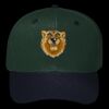 OTTO CAP 6 Panel Mid Profile Baseball Cap Thumbnail