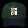 OTTO CAP 6 Panel Mid Profile Baseball Cap Thumbnail