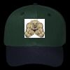 OTTO CAP 6 Panel Mid Profile Baseball Cap Thumbnail