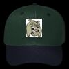 OTTO CAP 6 Panel Mid Profile Baseball Cap Thumbnail