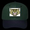 OTTO CAP 6 Panel Mid Profile Baseball Cap Thumbnail