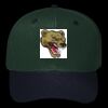 OTTO CAP 6 Panel Mid Profile Baseball Cap Thumbnail