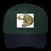 OTTO CAP 6 Panel Mid Profile Baseball Cap Thumbnail