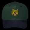 OTTO CAP 6 Panel Mid Profile Baseball Cap Thumbnail