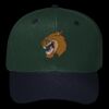 OTTO CAP 6 Panel Mid Profile Baseball Cap Thumbnail