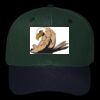 OTTO CAP 6 Panel Mid Profile Baseball Cap Thumbnail