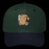 OTTO CAP 6 Panel Mid Profile Baseball Cap Thumbnail