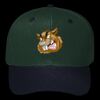 OTTO CAP 6 Panel Mid Profile Baseball Cap Thumbnail