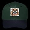 OTTO CAP 6 Panel Mid Profile Baseball Cap Thumbnail