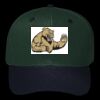 OTTO CAP 6 Panel Mid Profile Baseball Cap Thumbnail