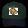 OTTO CAP 6 Panel Mid Profile Baseball Cap Thumbnail