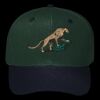 OTTO CAP 6 Panel Mid Profile Baseball Cap Thumbnail